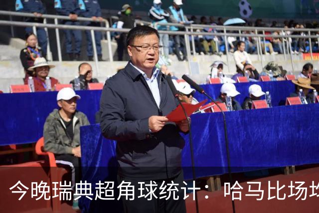 今晚瑞典超角球统计：哈马比场均5.8，天狼星场均6.2